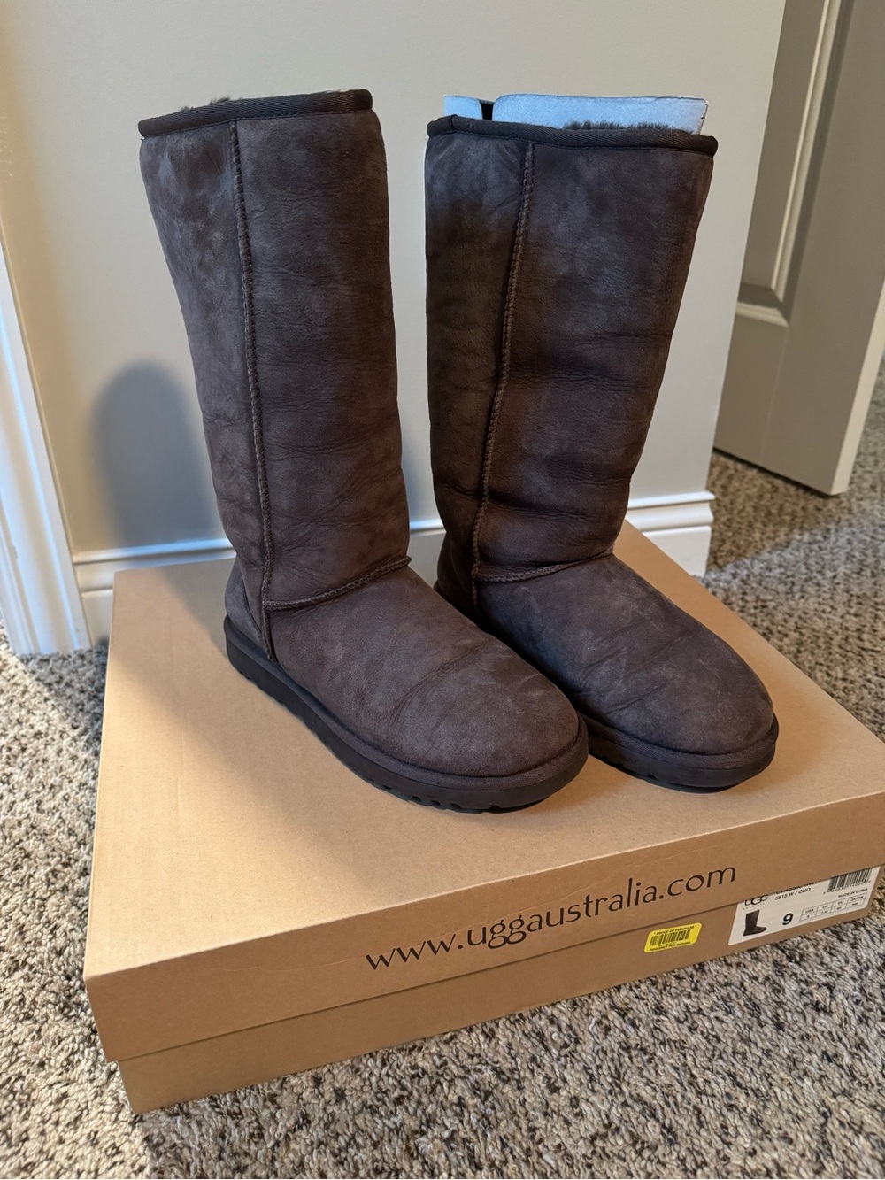 UGG Tall Suede Boots in Dark Brown